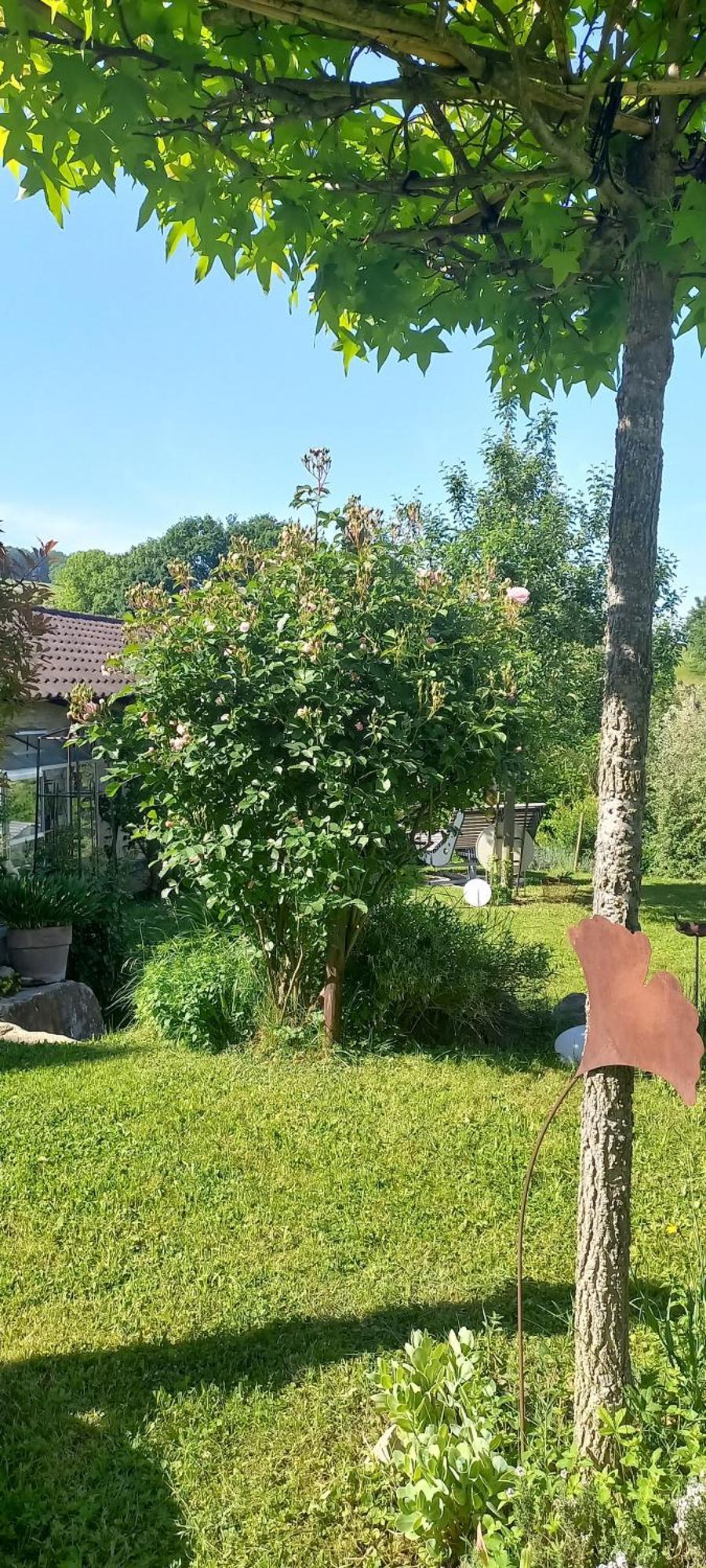 Ferienwohnung Rebgärtle Britzingen Exterior foto