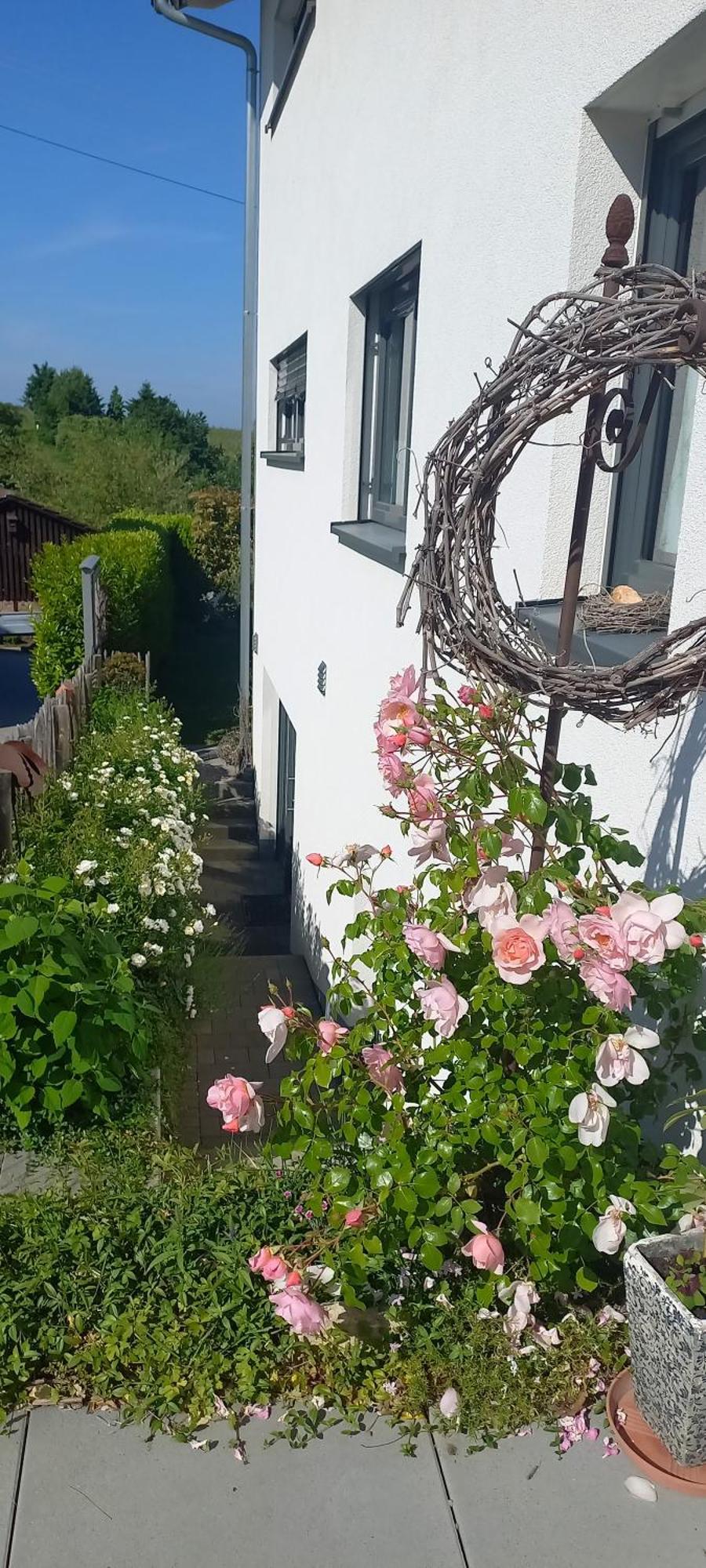 Ferienwohnung Rebgärtle Britzingen Exterior foto