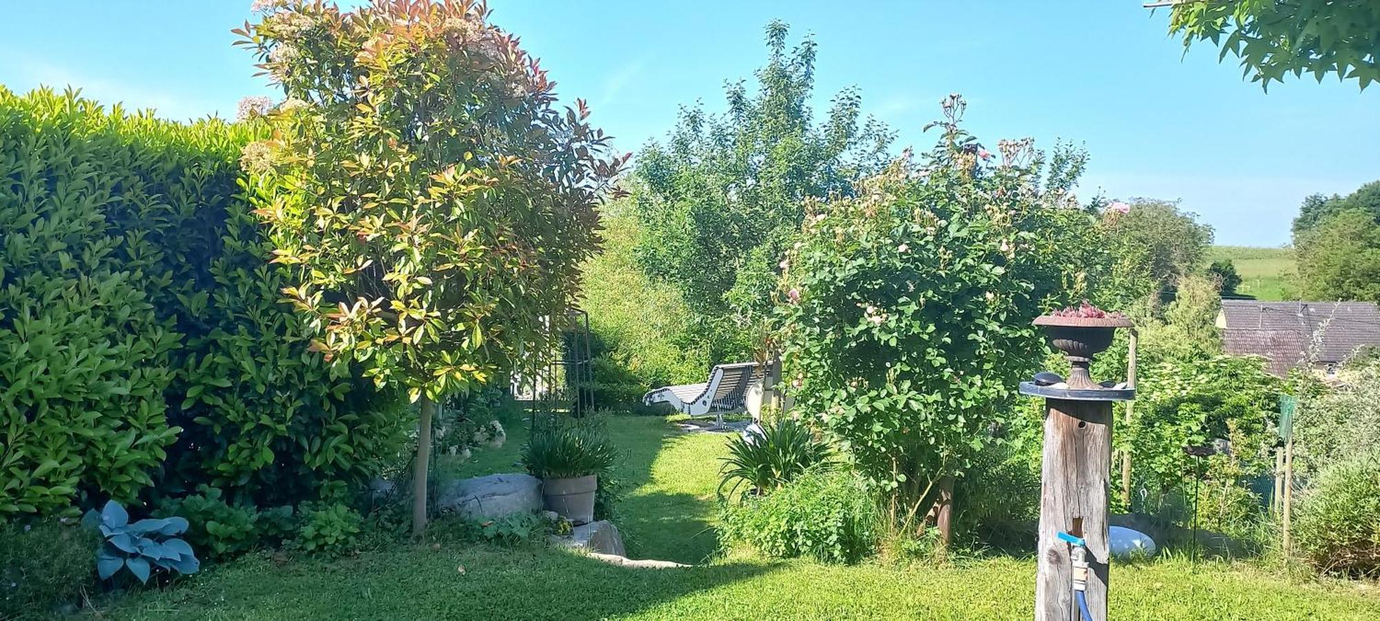 Ferienwohnung Rebgärtle Britzingen Exterior foto
